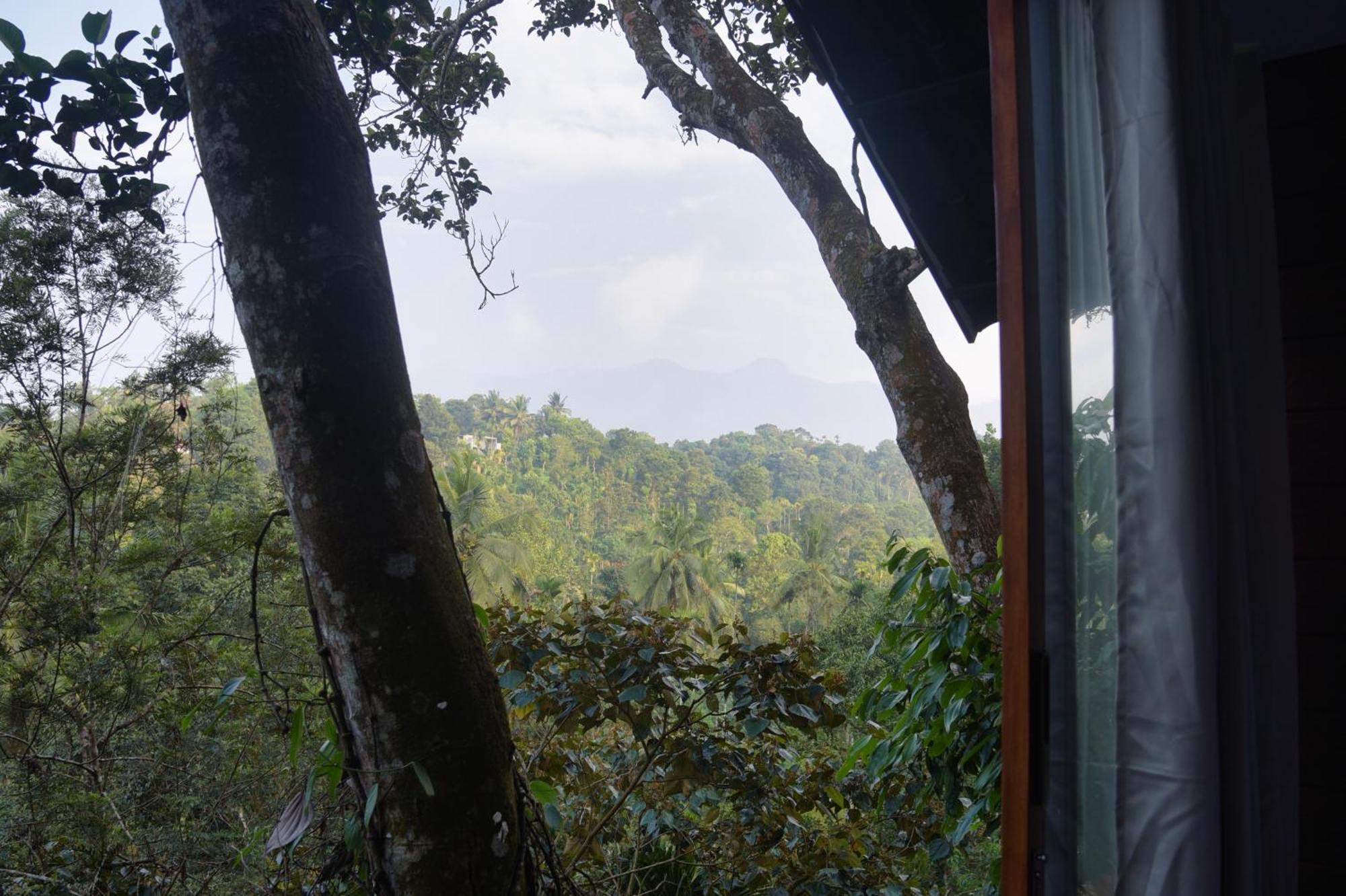 Tree6 Wayanad Villa Vythiri Exterior foto